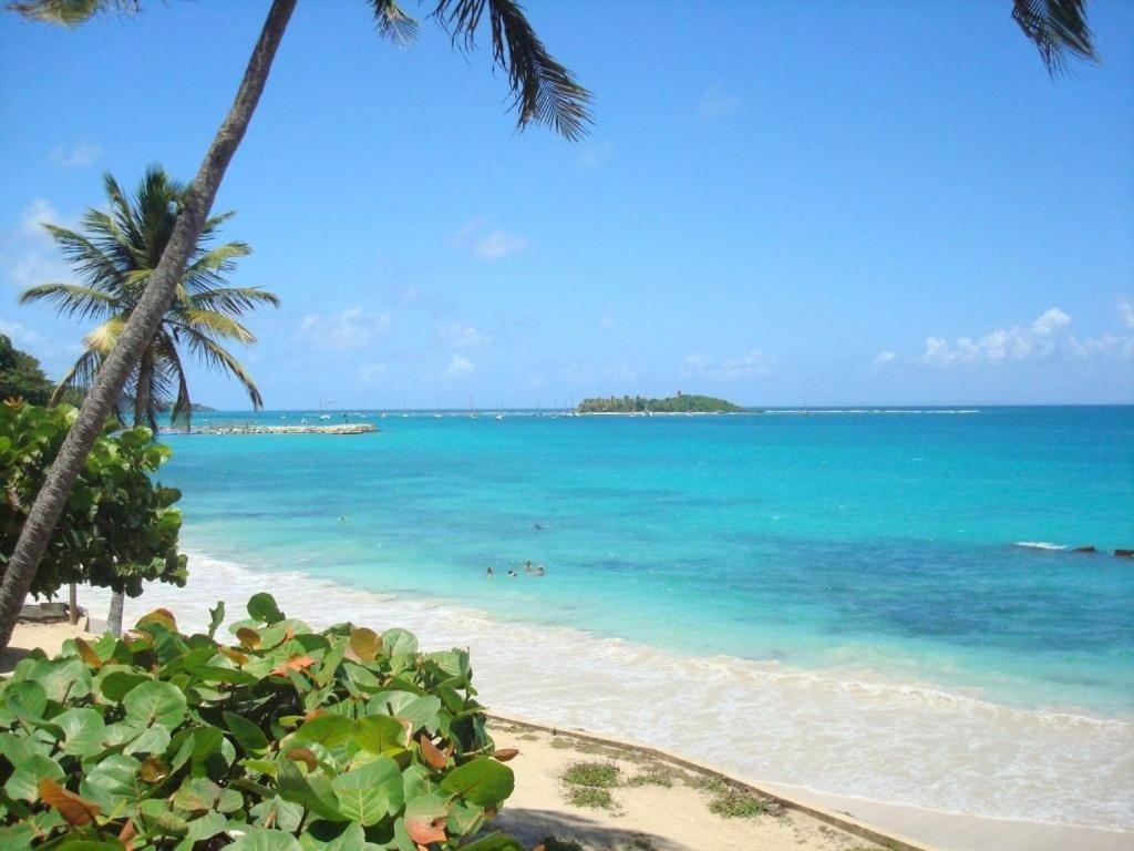 Ilet Bleu Studio Cosy Rdc Vue Mer Et Jardin - Acces Direct Plage Le Gosier  Exterior photo