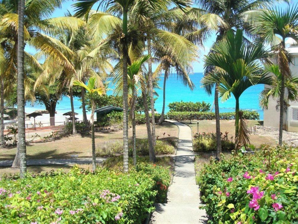 Ilet Bleu Studio Cosy Rdc Vue Mer Et Jardin - Acces Direct Plage Le Gosier  Exterior photo