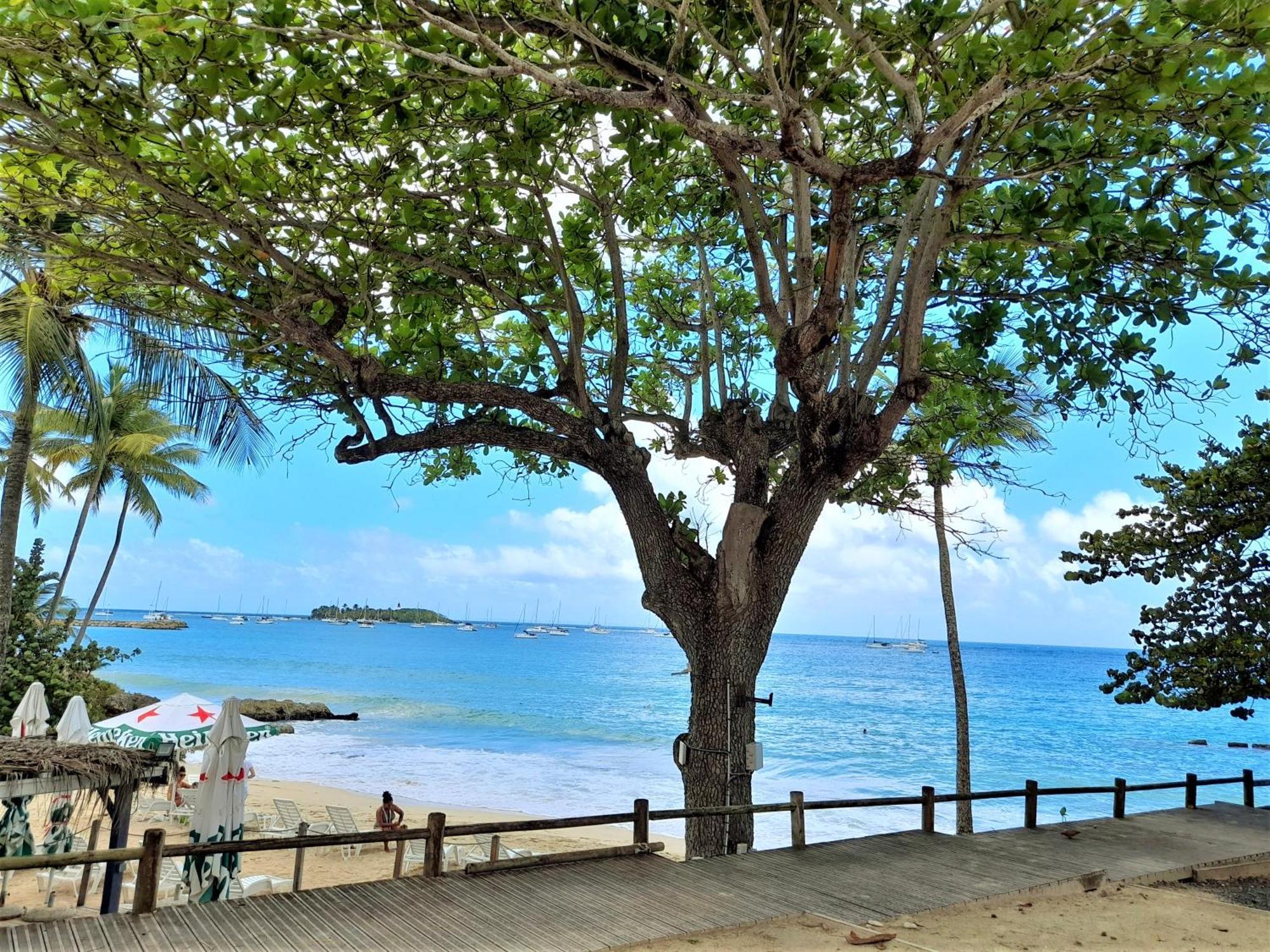 Ilet Bleu Studio Cosy Rdc Vue Mer Et Jardin - Acces Direct Plage Le Gosier  Exterior photo